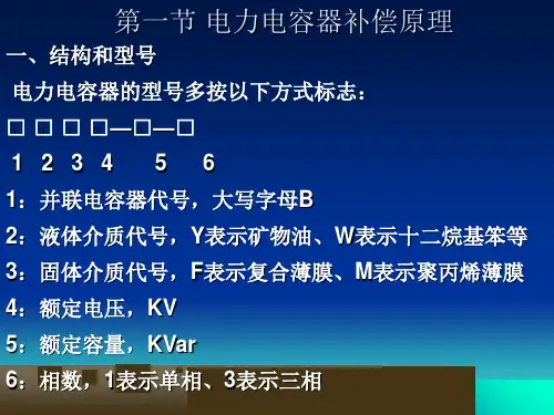 13章电力电容器ppt课件