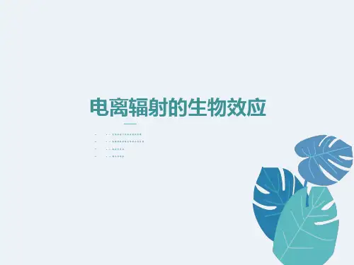电离辐射的生物效应