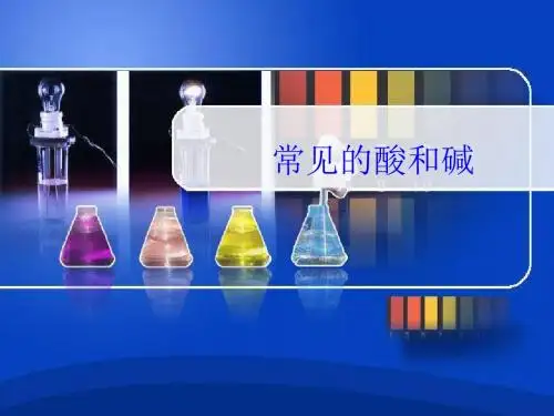 常见的酸和碱PPT课件 人教版