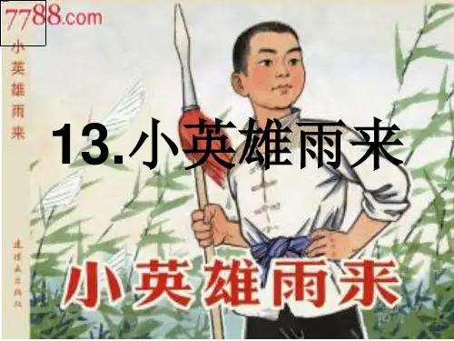 13.小英雄雨来