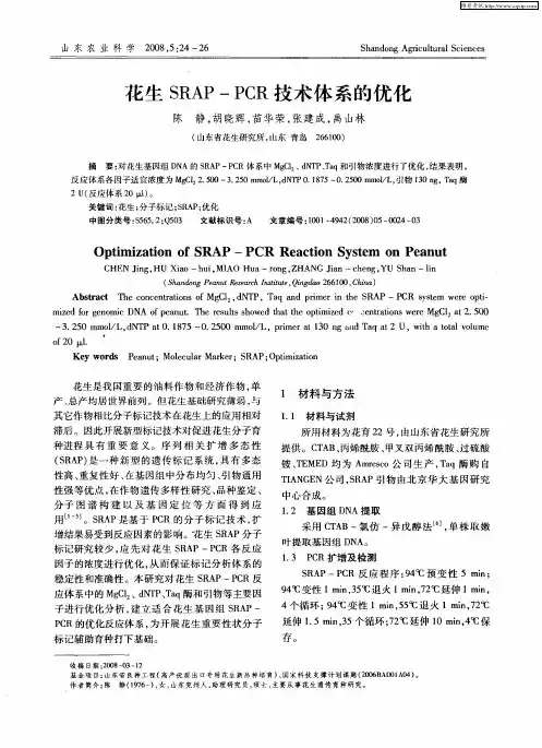 花生SRAP—PCR技术体系的优化