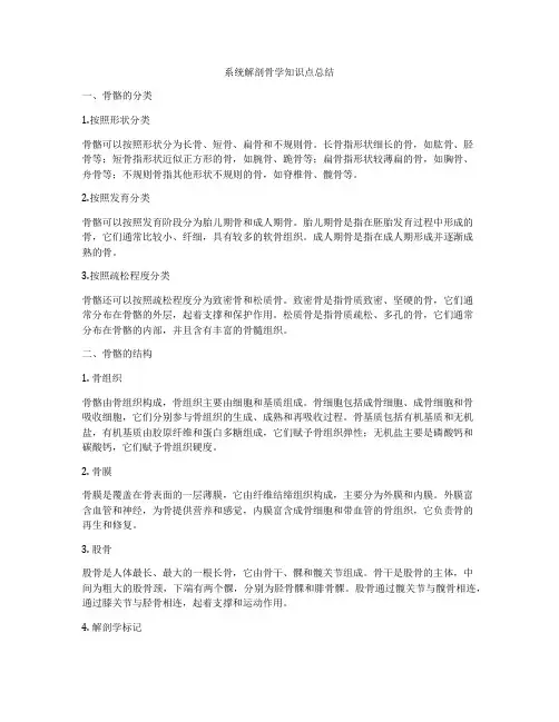 系统解剖骨学知识点总结