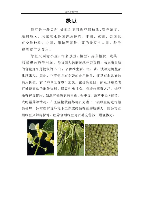 谷物杂粮介绍