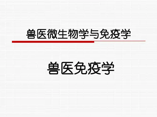 抗原决定簇