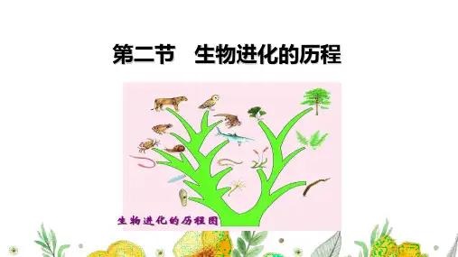 【课件】第二节  生物进化的历程