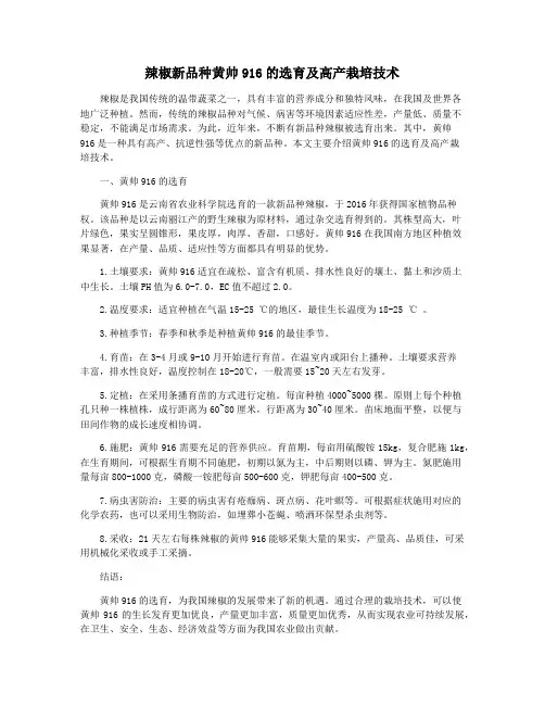 辣椒新品种黄帅916的选育及高产栽培技术