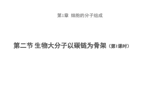 浙科版(2019)高中生物必修1第一章第二节 生物大分子以碳链为骨架 第1课时  课件 (共26张PPT)
