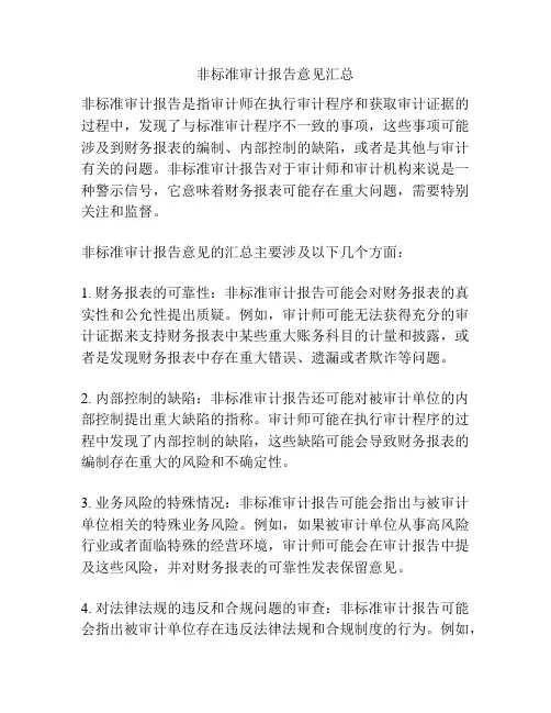 非标准审计报告意见汇总