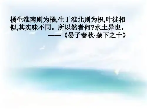 命名记