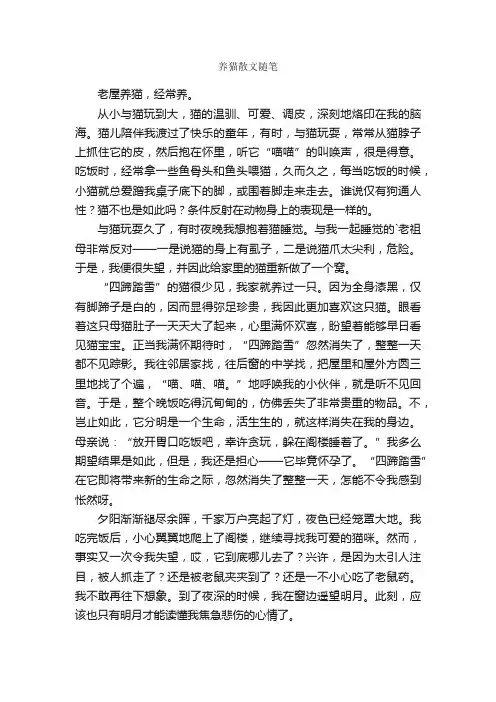 养猫散文随笔