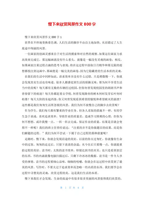 慢下来欣赏风景作文800字