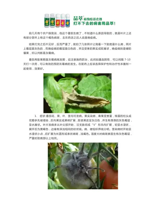 番茄灰霉病用什么药好