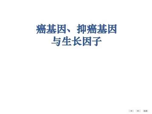 癌基因、肿瘤抑制基因与生长因子PPT课件
