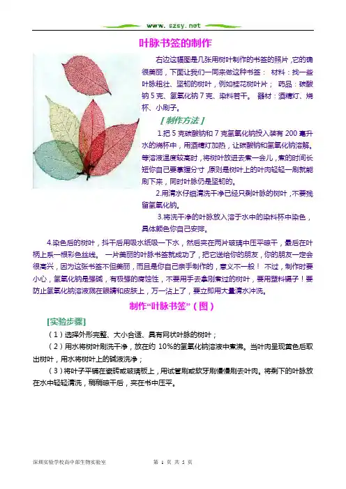 叶脉书签的制作