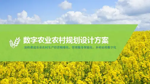 数字农业农村规划设计方案