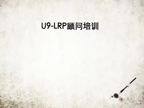 U9-LRP顾问培训