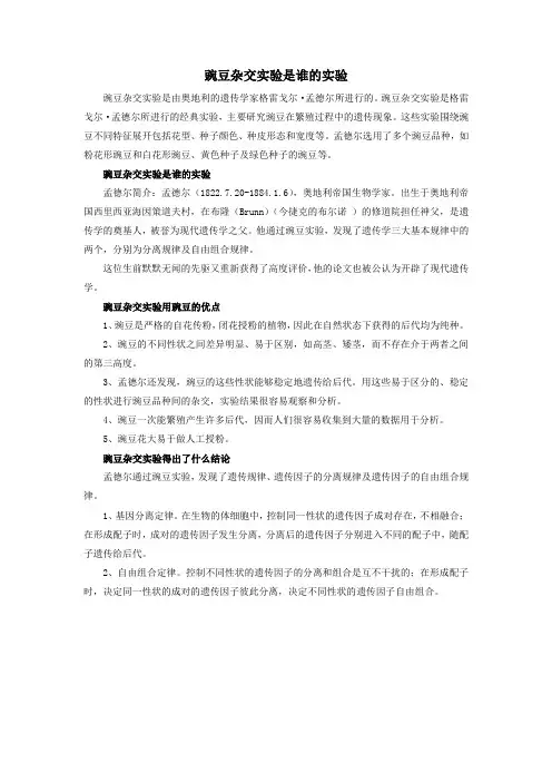 豌豆杂交实验是谁的实验