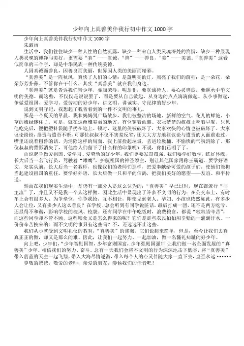 少年向上真善美伴我行初中作文1000字