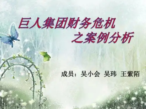 财务案例分析-PPT文档资料