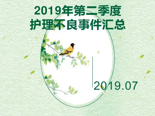 2019年第二季度医院护理不良事件分析 