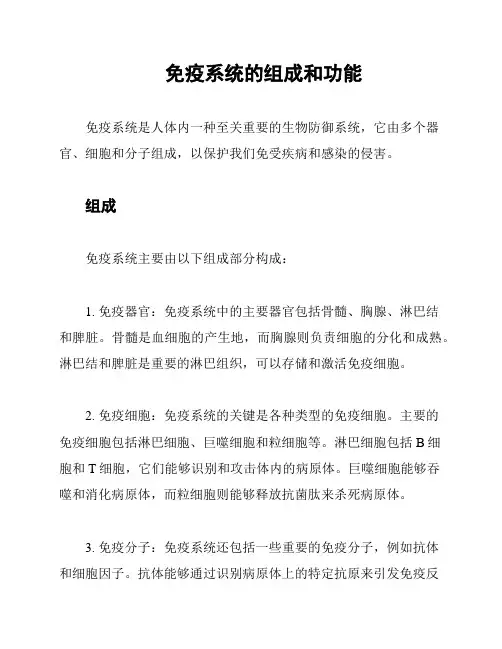 免疫系统的组成和功能