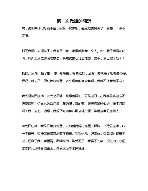 作文《第一次做饭的感想》