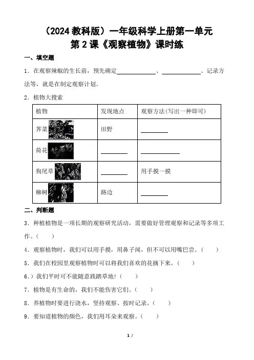 教科版科学一年级上册1.2《观察植物》课时练