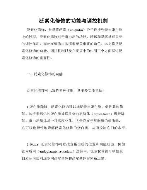 泛素化修饰的功能与调控机制