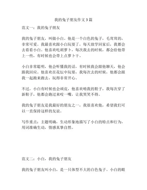 我的兔子朋友作文3篇