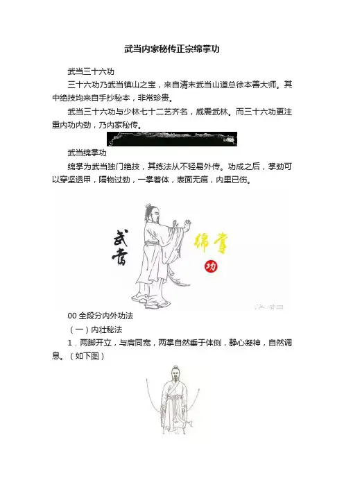 武当内家秘传正宗绵掌功
