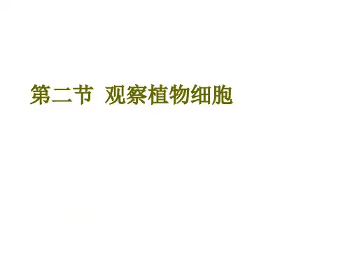 七年级生物上册第二单元 第一章 第二节观察植物细胞