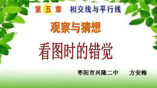 人教版七年级下册数学《观察与猜想看图时的错觉2》课件