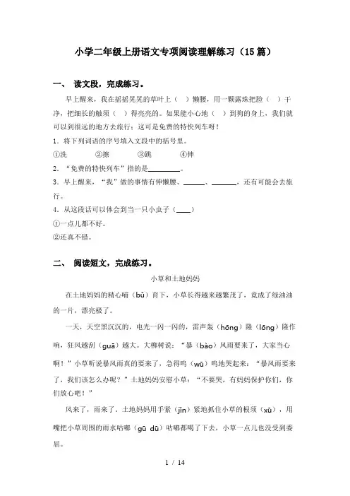 小学二年级上册语文专项阅读理解练习(15篇)