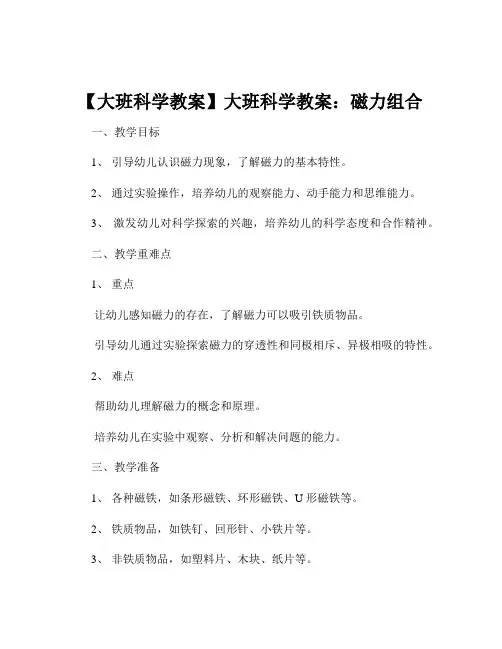 【大班科学教案】大班科学教案：磁力组合