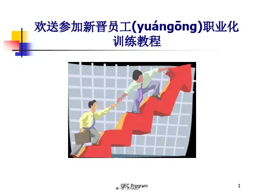 (最新)新晋员工职业化训练教程(PPT104页)