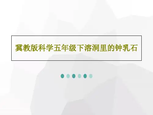 冀教版科学五年级下溶洞里的钟乳石共22页文档