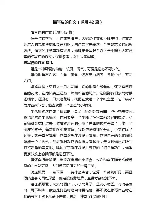 描写猫的作文（通用42篇）