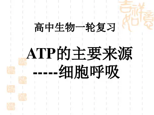 一轮复习总结细胞呼吸