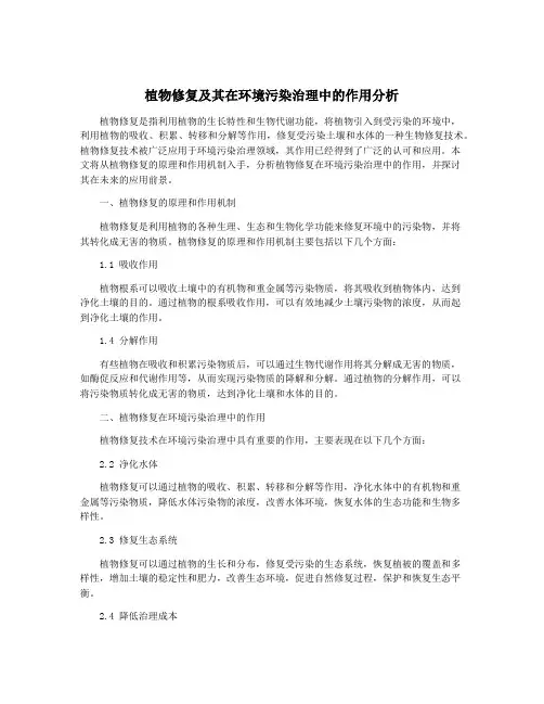 植物修复及其在环境污染治理中的作用分析