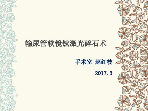 输尿管软镜钬激光碎石术ppt课件