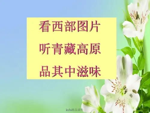苏教版高中语文必修一西地平线上1课件
