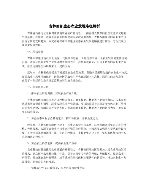 吉林西部生态农业发展路径解析