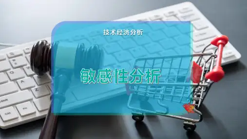 敏感性分析