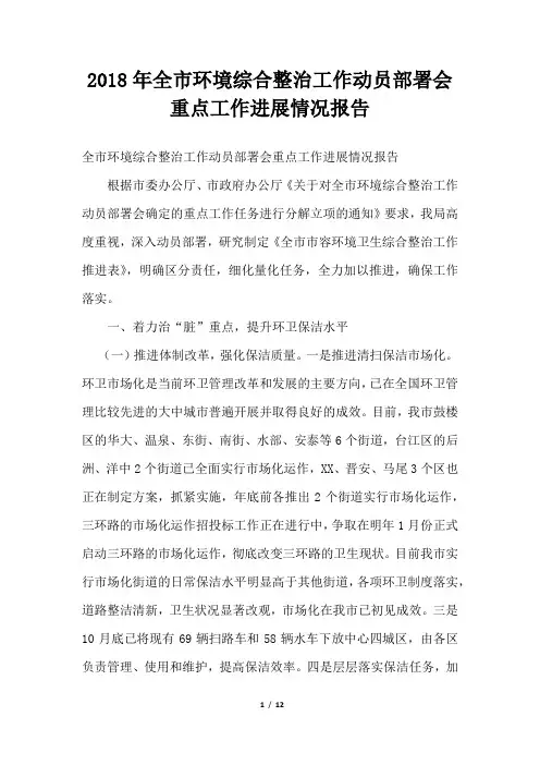全市环境综合整治工作动员部署会重点工作进展情况报告