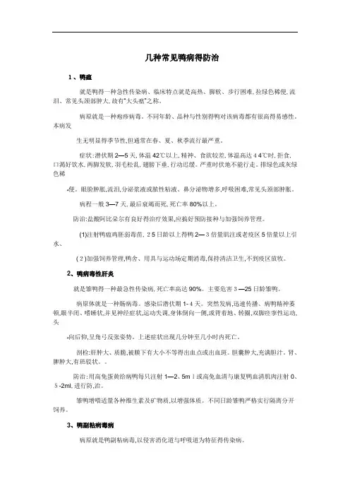 几种常见鸭病的防治