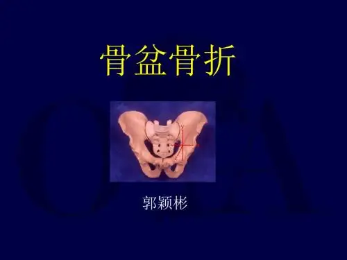 Pelvis