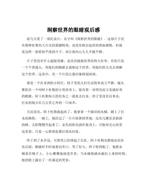 洞察世界的眼睛观后感