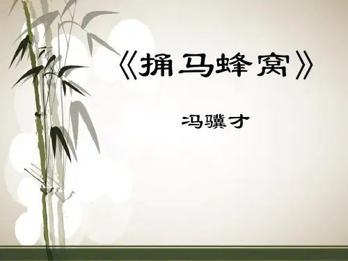 《捅马蜂窝》PPT课件3 (共34张PPT)