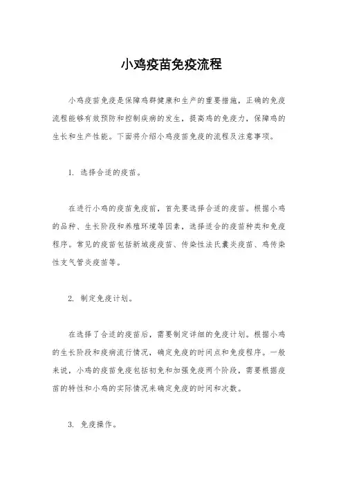 小鸡疫苗免疫流程