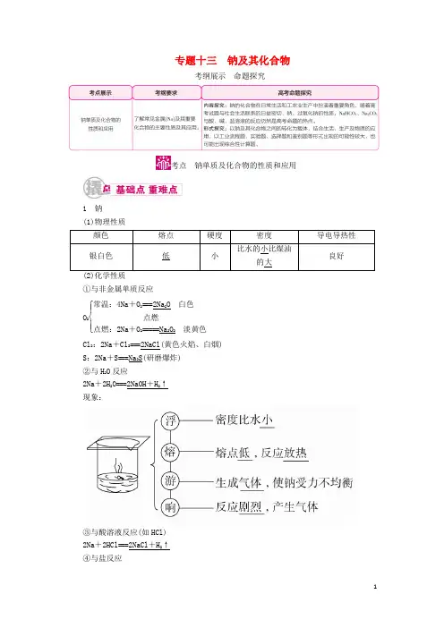 高考化学一轮复习 专题十三 钠及其化合物教学案
